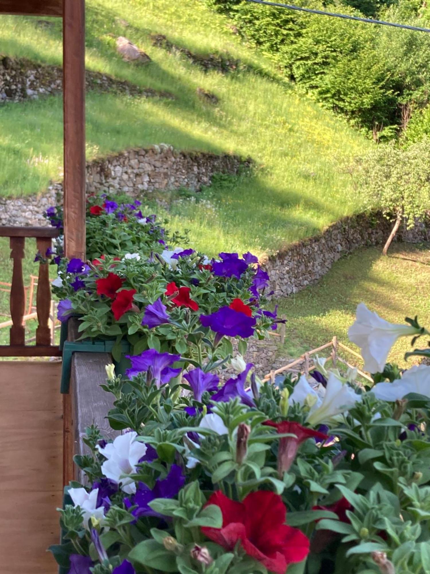 B&B Maison Vallomy Lillianes Extérieur photo